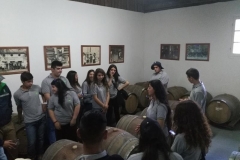 IMG_20171114_112805 (Copy)