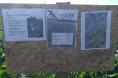 IMG_20171115_095656 (Copy)