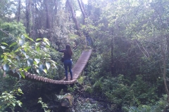 IMG_20171115_102649 (Copy)