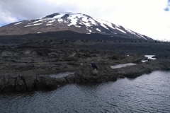 IMG_20171115_154807 (Copy)