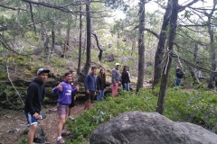 IMG_20171115_172420 (Copy)