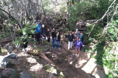 IMG_20171115_173352 (Copy)