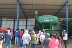 IMG_20171117_113027 (Copy)