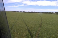 IMG_20171117_120724 (Copy)