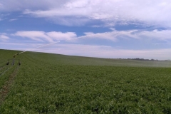 IMG_20171117_123446 (Copy)