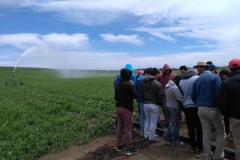 IMG_20171117_123814 (Copy)