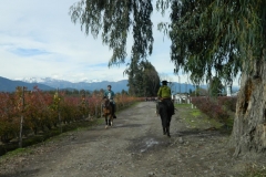 DSCN5432 (Copy)