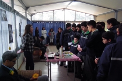 SAM_2598 (Copy)