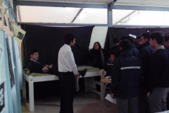 SAM_2603 (Copy)