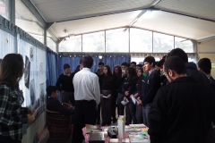 SAM_2616 (Copy)