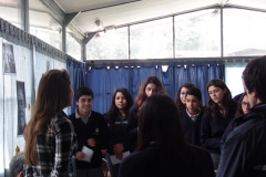SAM_2641 (Copy)