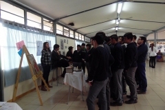 SAM_2670 (Copy)
