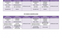 GUÍAS_4