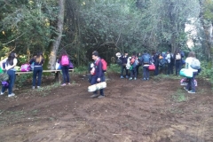 IMG_20170421_182304 (Copy)