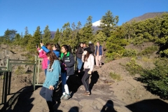 IMG_20170422_174244 (Copy)