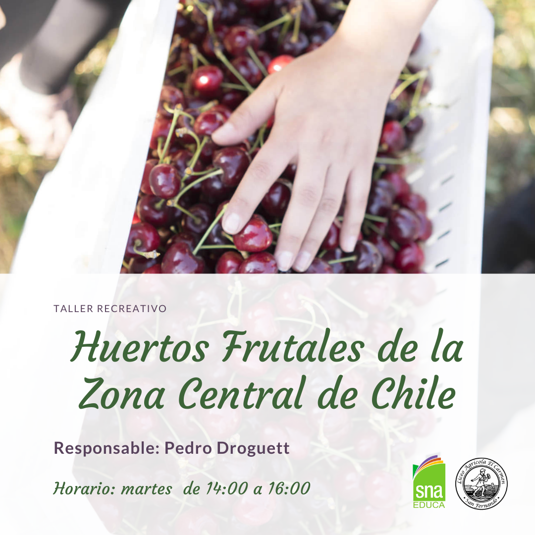 HUERTOS FRUTALES DE LA ZONA CENTRAL DE CHILE_INSTAGRAM